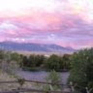 Meet your Posher, Van